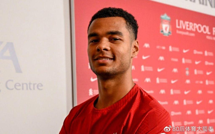 起不仅仅依 起不仅仅依