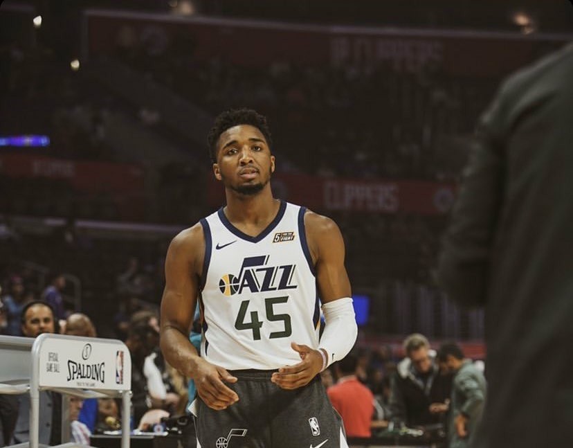 它们在本文 它们在本文